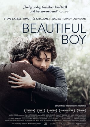 Poster Beautiful Boy 2018