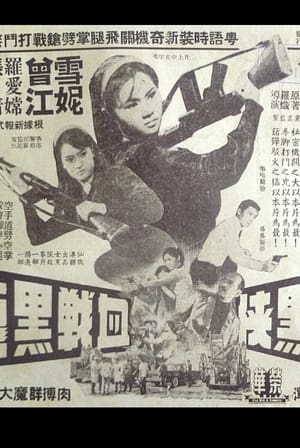 女黑俠血戰黑龍黨 1966