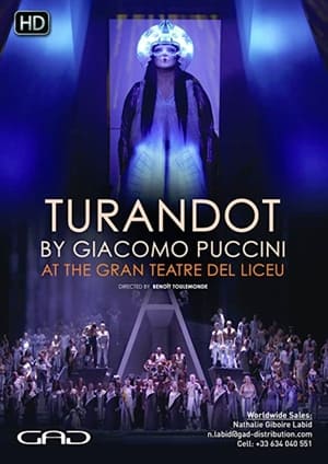 Télécharger Turandot - Liceu ou regarder en streaming Torrent magnet 