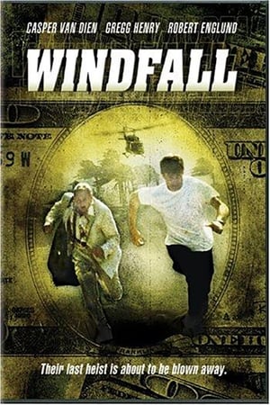Image Windfall - Pioggia infernale