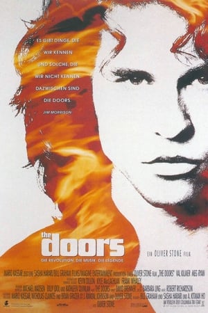 Poster The Doors 1991