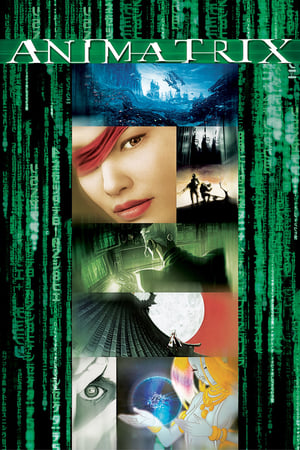 Poster Animatrix 2003