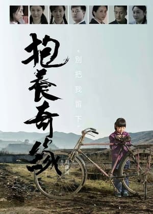 Poster 抱养奇缘 2015