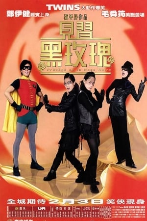 Poster 见习黑玫瑰 2004