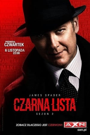 Poster Czarna lista 2013