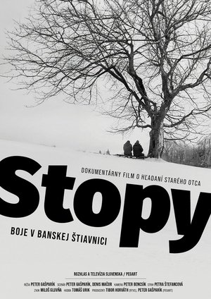Footprints: Fighting in Banská Štiavnica (2023)