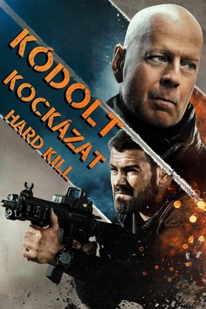 Poster Kódolt kockázat 2020