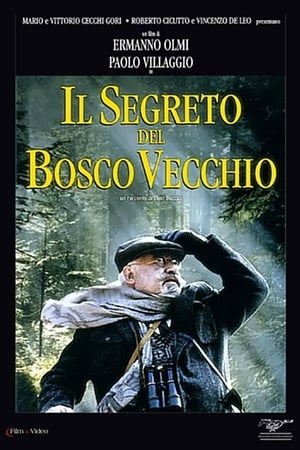 Image Il segreto del bosco vecchio