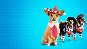 Beverly Hills Chihuahua 3 – Viva La Fiesta!