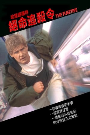 Poster 亡命天涯 1993