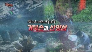 Episode 1200