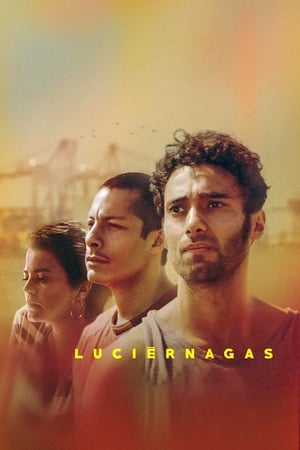 Poster Luciérnagas 2018