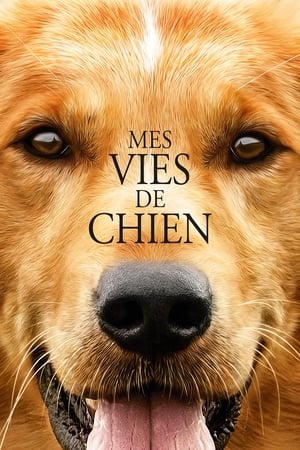 Télécharger Mes vies de chien ou regarder en streaming Torrent magnet 