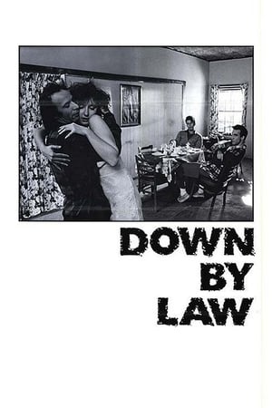 Poster Down by Law 1986