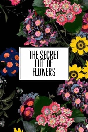 Poster The Secret Life of Flowers 2017