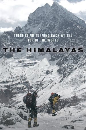 Poster The Himalayas 2015