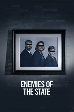 Image Enemies of the State