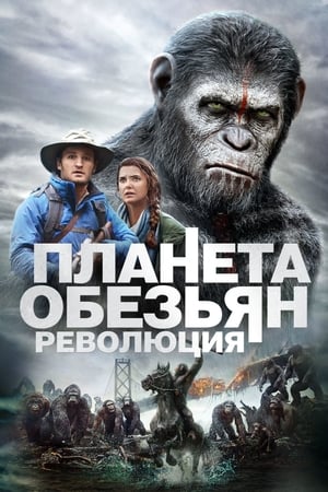 Poster Планета обезьян: Революция 2014