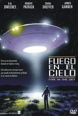 Poster Fuego en el cielo 1993