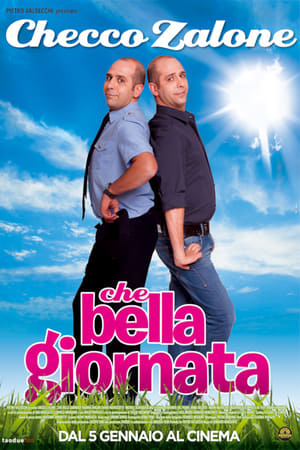 Poster Che bella giornata 2011