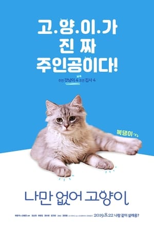 Image 나만 없어 고양이