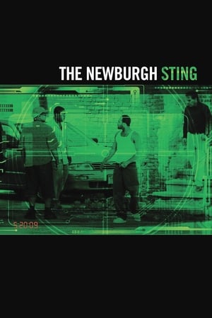 Image The Newburgh Sting