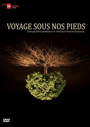 Image Voyage sous nos pieds