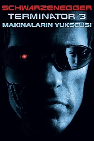 Poster Terminatör 3: Makinelerin Yükselişi 2003