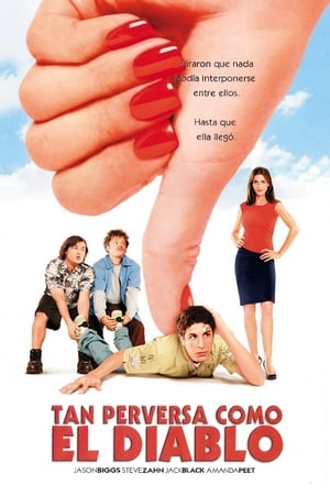 Poster Tres idiotas y una bruja 2001