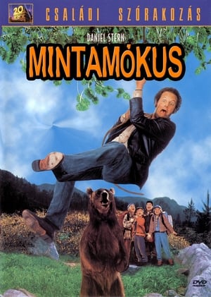 Image Mintamókus