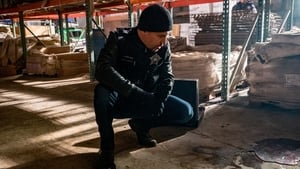 Chicago P.D. Season 6 Episode 12