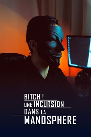 Image Bitch! Une incursion dans la manosphère