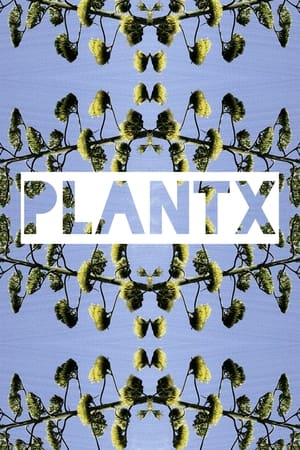 Image Plant X
