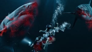 مشاهده فيلم 47 Meters Down 2017 مترجم