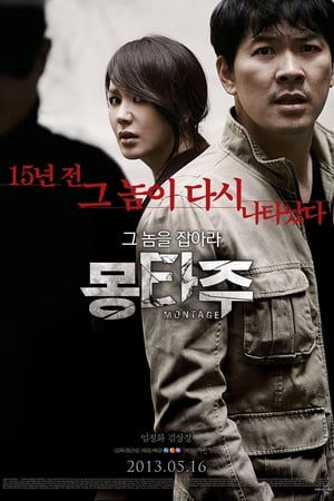 Poster 몽타주 2013