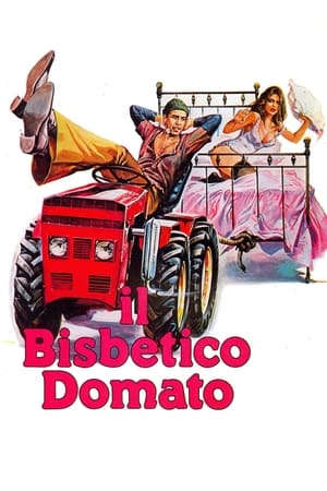 Il bisbetico domato 1980