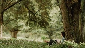 Images posters