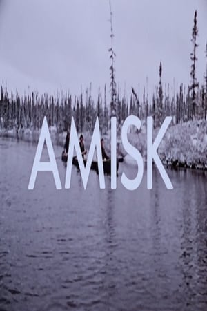 Télécharger Amisk ou regarder en streaming Torrent magnet 