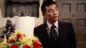 Enter Tami Okada