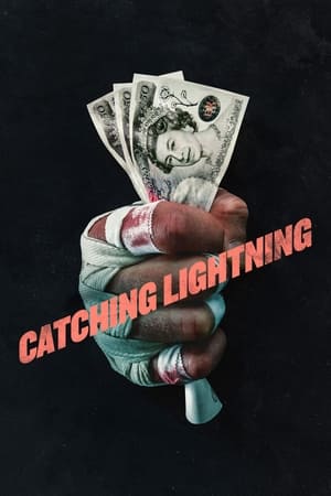 Image Catching Lightning