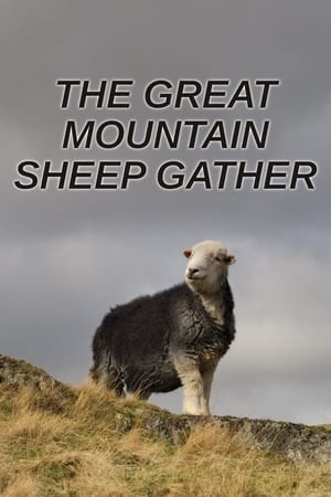 Poster The Great Mountain Sheep Gather 2020