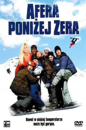 Afera poniżej zera 2001