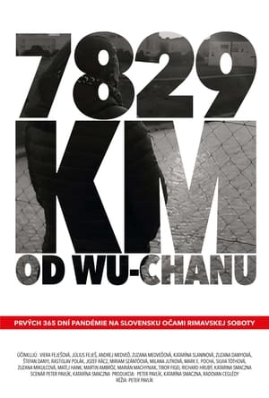 Image 7829 km od Wu-chanu