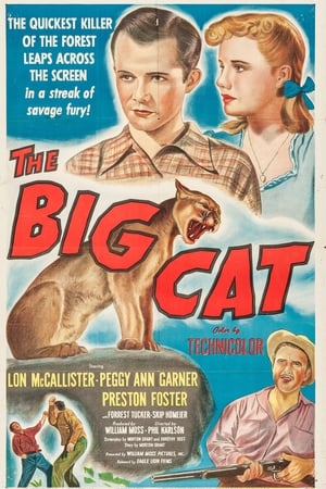Image The Big Cat