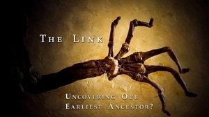 Episode 1564