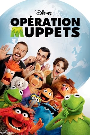 Poster Opération Muppets 2014