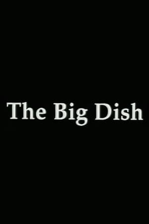 Télécharger The Big Dish ou regarder en streaming Torrent magnet 