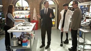 NCIS Season 8 :Episode 19  Tell-All