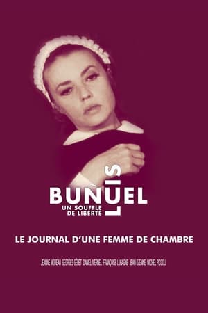 Télécharger Le Journal d'une femme de chambre ou regarder en streaming Torrent magnet 