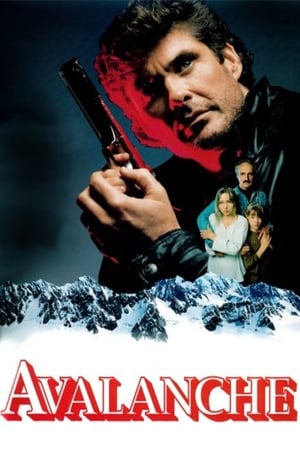 Poster Avalanche 1994